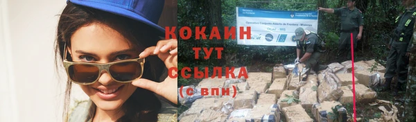 прущая мука Гусев