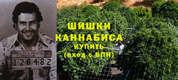 spice Гусь-Хрустальный