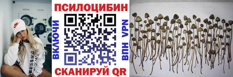 Купить где  Карачев  Псилоцибиновые грибы GOLDEN TEACHER 