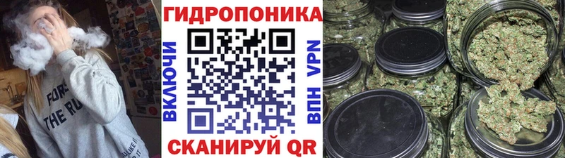 Купить где  Карачев  Шишки марихуана гибрид 